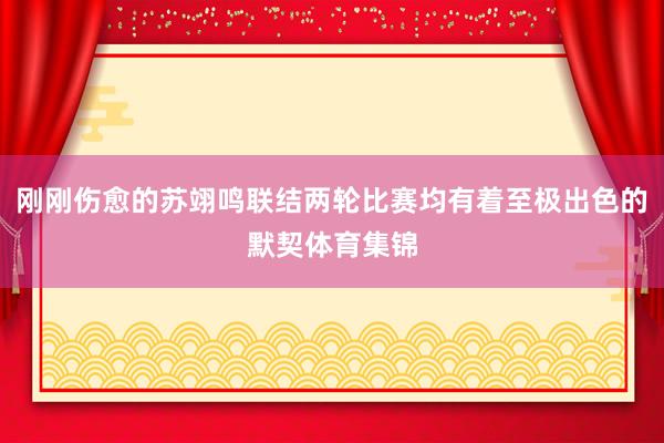 刚刚伤愈的苏翊鸣联结两轮比赛均有着至极出色的默契体育集锦