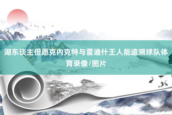 湖东谈主但愿克内克特与雷迪什王人能追溯球队体育录像/图片