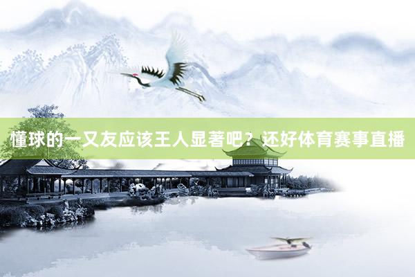 懂球的一又友应该王人显著吧？还好体育赛事直播