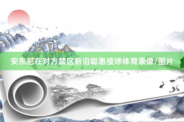 安东尼在对方禁区前沿聪惠接球体育录像/图片