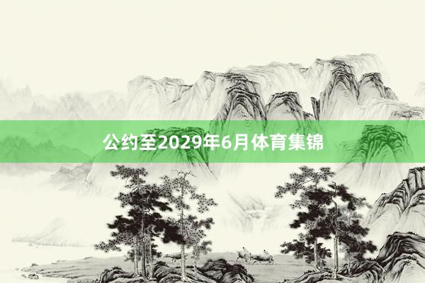 公约至2029年6月体育集锦