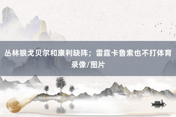 丛林狼戈贝尔和康利缺阵；雷霆卡鲁索也不打体育录像/图片