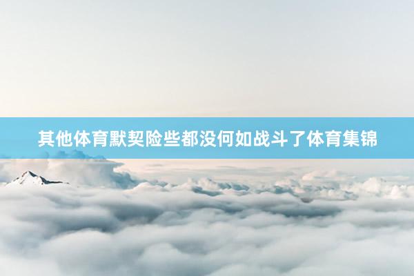 其他体育默契险些都没何如战斗了体育集锦