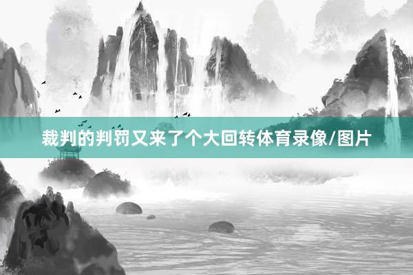 裁判的判罚又来了个大回转体育录像/图片
