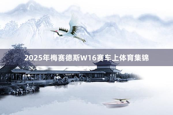 2025年梅赛德斯W16赛车上体育集锦