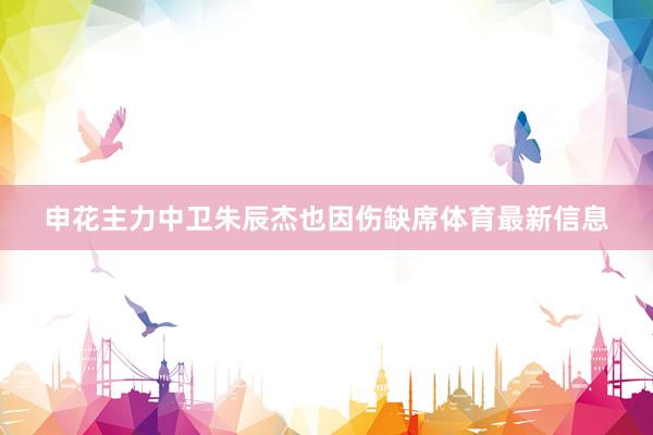 申花主力中卫朱辰杰也因伤缺席体育最新信息