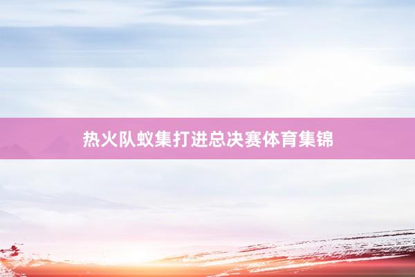 热火队蚁集打进总决赛体育集锦