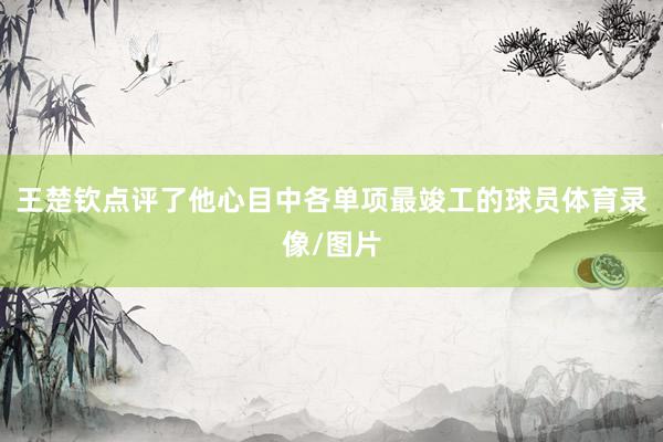 王楚钦点评了他心目中各单项最竣工的球员体育录像/图片