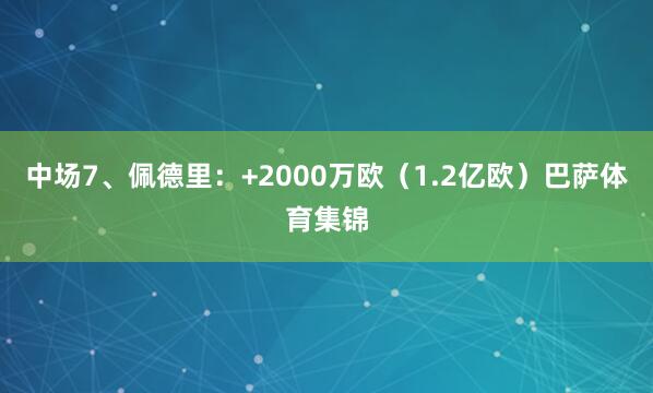 中场7、佩德里：+2000万欧（1.2亿欧）巴萨体育集锦
