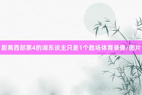 距离西部第4的湖东谈主只差1个胜场体育录像/图片
