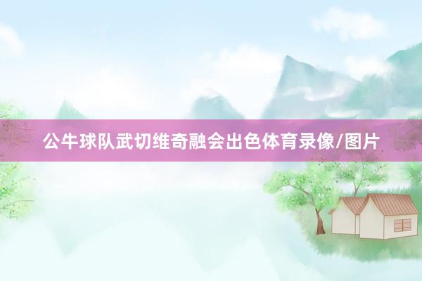 公牛球队武切维奇融会出色体育录像/图片