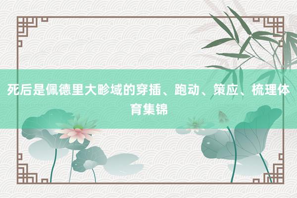 死后是佩德里大畛域的穿插、跑动、策应、梳理体育集锦