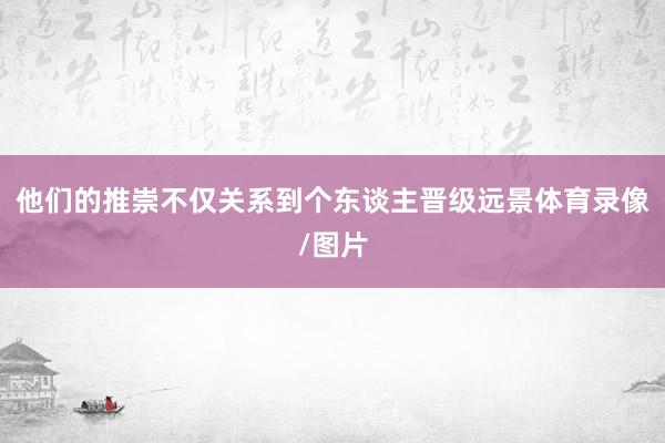 他们的推崇不仅关系到个东谈主晋级远景体育录像/图片