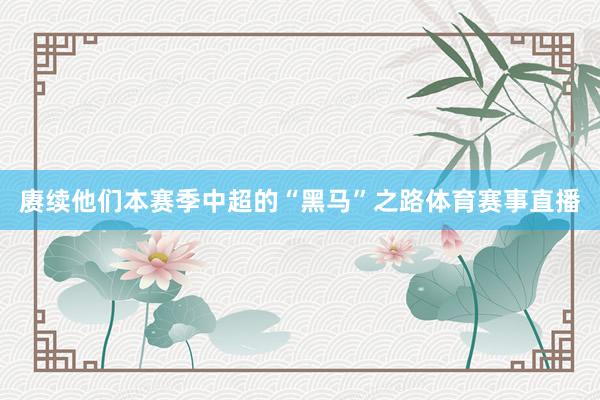 赓续他们本赛季中超的“黑马”之路体育赛事直播