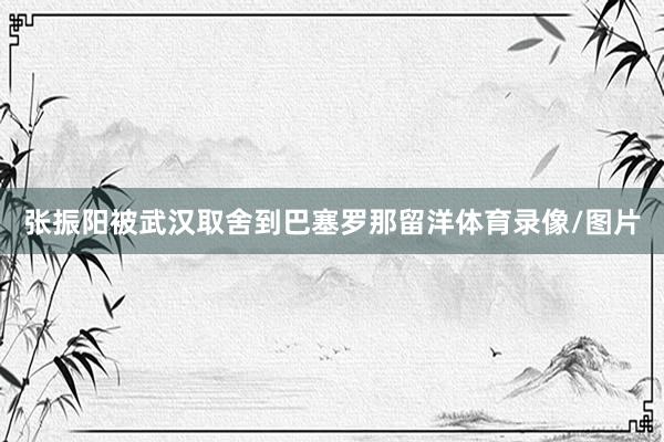 张振阳被武汉取舍到巴塞罗那留洋体育录像/图片