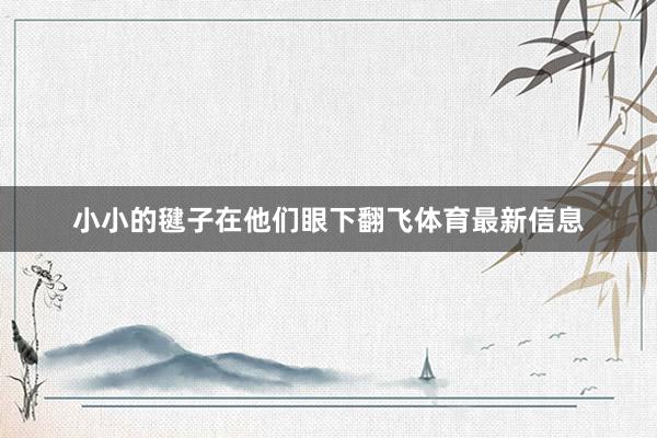 小小的毽子在他们眼下翻飞体育最新信息