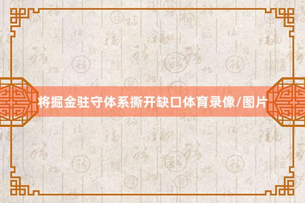 将掘金驻守体系撕开缺口体育录像/图片