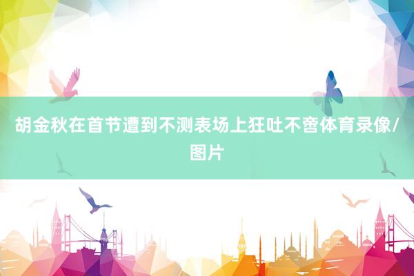 胡金秋在首节遭到不测表场上狂吐不啻体育录像/图片