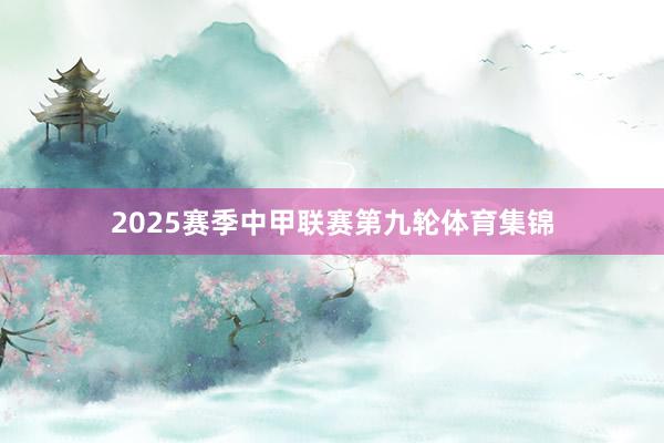 2025赛季中甲联赛第九轮体育集锦