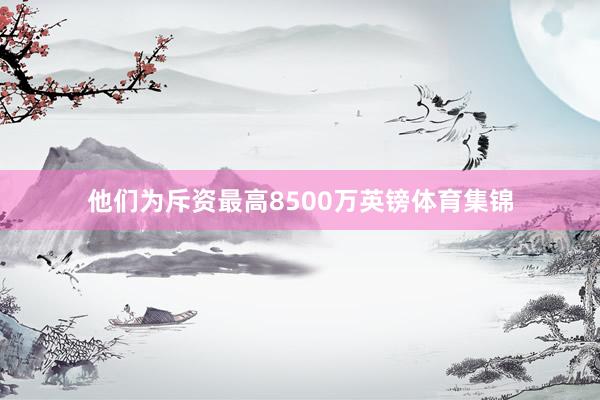 他们为斥资最高8500万英镑体育集锦