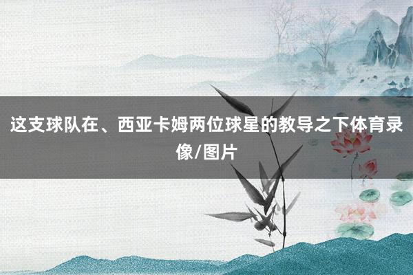 这支球队在、西亚卡姆两位球星的教导之下体育录像/图片