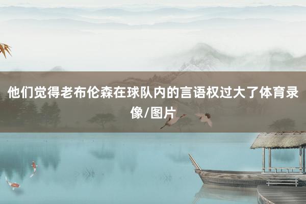 他们觉得老布伦森在球队内的言语权过大了体育录像/图片