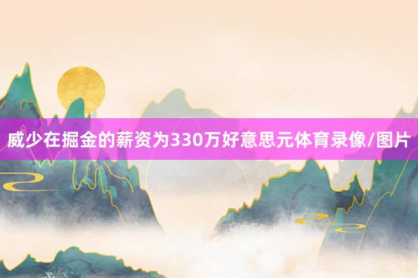 威少在掘金的薪资为330万好意思元体育录像/图片