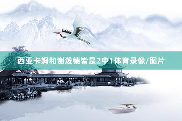 西亚卡姆和谢泼德皆是2中1体育录像/图片