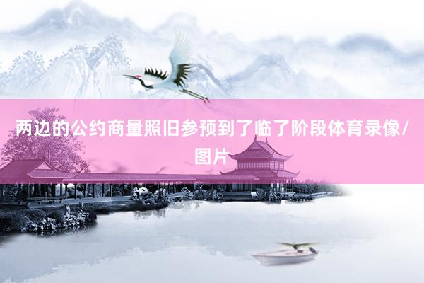 两边的公约商量照旧参预到了临了阶段体育录像/图片