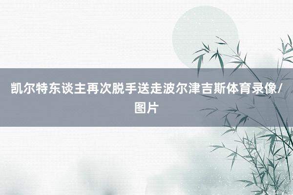 凯尔特东谈主再次脱手送走波尔津吉斯体育录像/图片