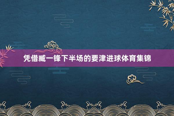 凭借臧一锋下半场的要津进球体育集锦