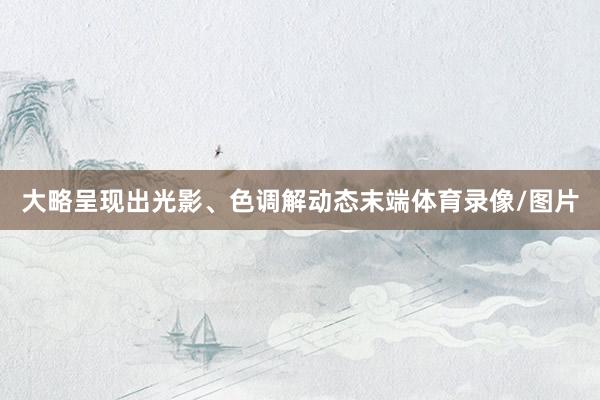 大略呈现出光影、色调解动态末端体育录像/图片