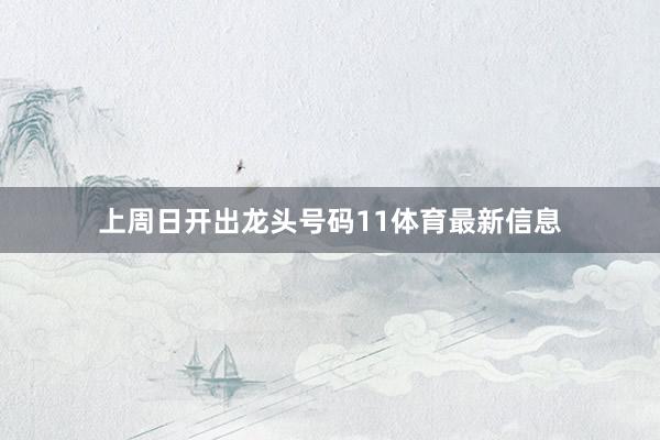 上周日开出龙头号码11体育最新信息