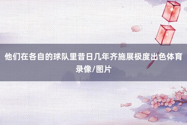 他们在各自的球队里昔日几年齐施展极度出色体育录像/图片
