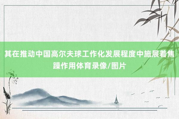 其在推动中国高尔夫球工作化发展程度中施展着焦躁作用体育录像/图片