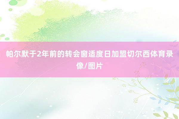 帕尔默于2年前的转会窗适度日加盟切尔西体育录像/图片