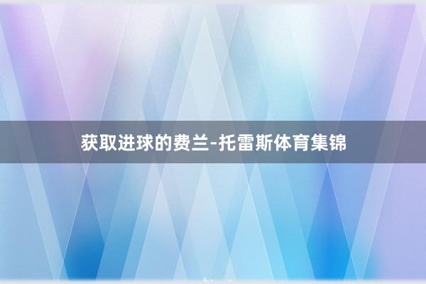 获取进球的费兰-托雷斯体育集锦