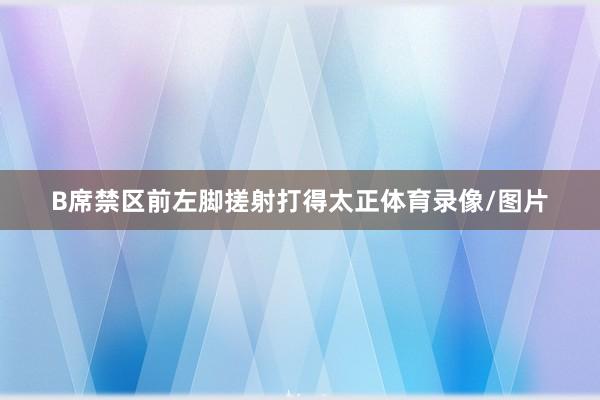 B席禁区前左脚搓射打得太正体育录像/图片