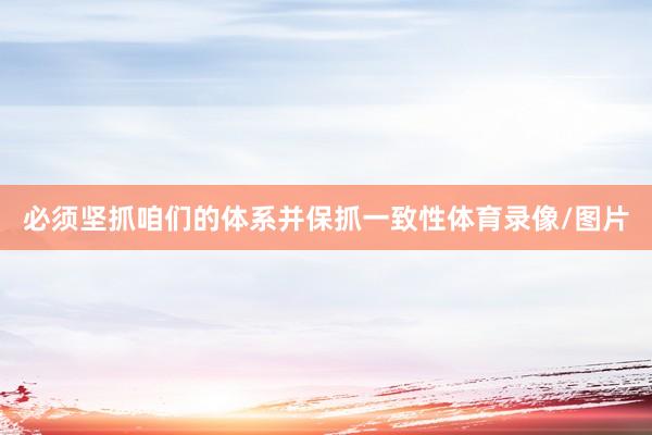 必须坚抓咱们的体系并保抓一致性体育录像/图片