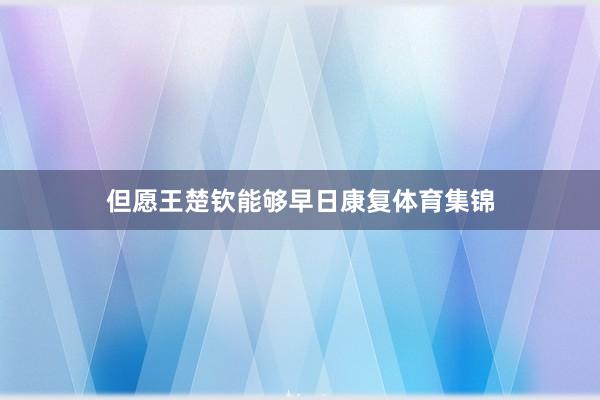 但愿王楚钦能够早日康复体育集锦