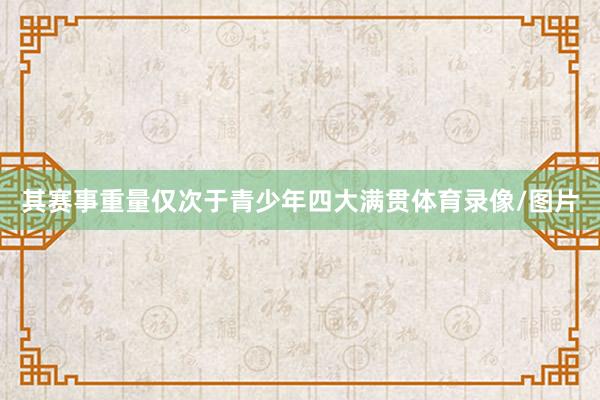 其赛事重量仅次于青少年四大满贯体育录像/图片