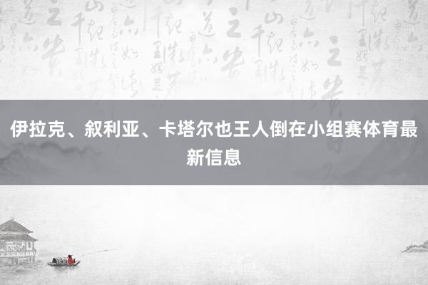 伊拉克、叙利亚、卡塔尔也王人倒在小组赛体育最新信息