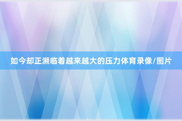 如今却正濒临着越来越大的压力体育录像/图片