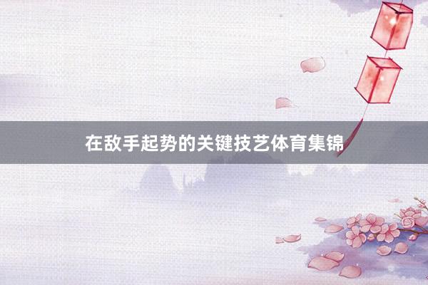 在敌手起势的关键技艺体育集锦