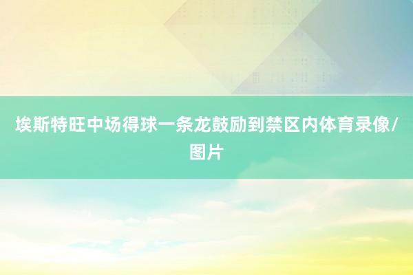 埃斯特旺中场得球一条龙鼓励到禁区内体育录像/图片
