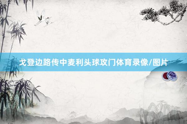 戈登边路传中麦利头球攻门体育录像/图片