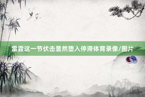 雷霆这一节伏击显然堕入停滞体育录像/图片