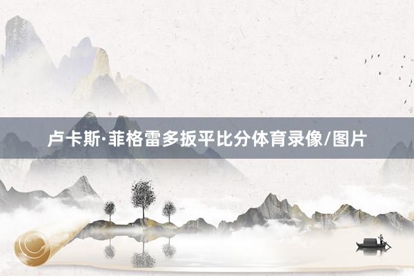 卢卡斯·菲格雷多扳平比分体育录像/图片