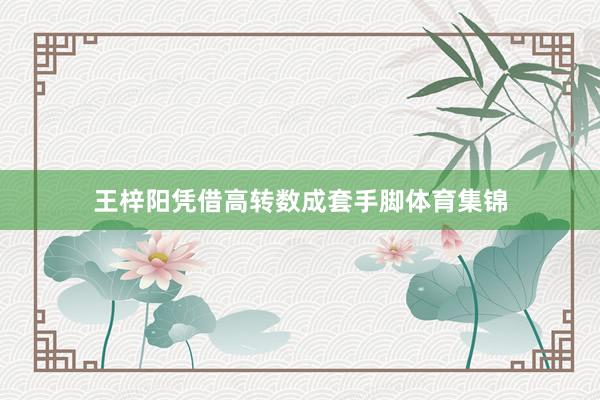 王梓阳凭借高转数成套手脚体育集锦