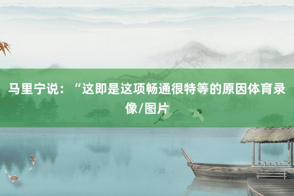 马里宁说:“这即是这项畅通很特等的原因体育录像/图片